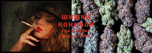 шишки Пересвет