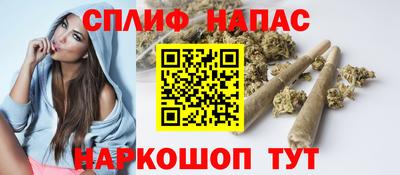 сатива Новоалександровск