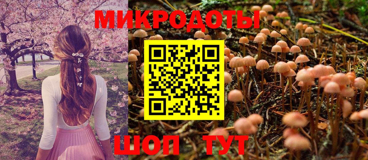 Псилоцибиновые грибы Psilocybine cubensis  Вход с VPN  Элиста  Псилоцибиновые грибы Psilocybe 