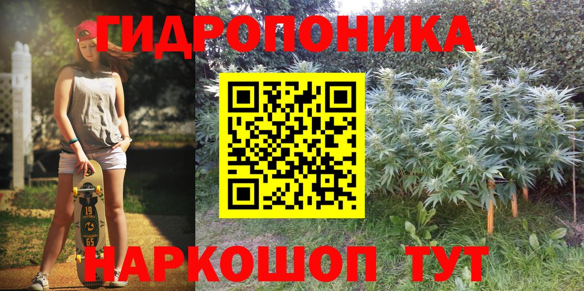 Бошки Шишки сатива Элиста